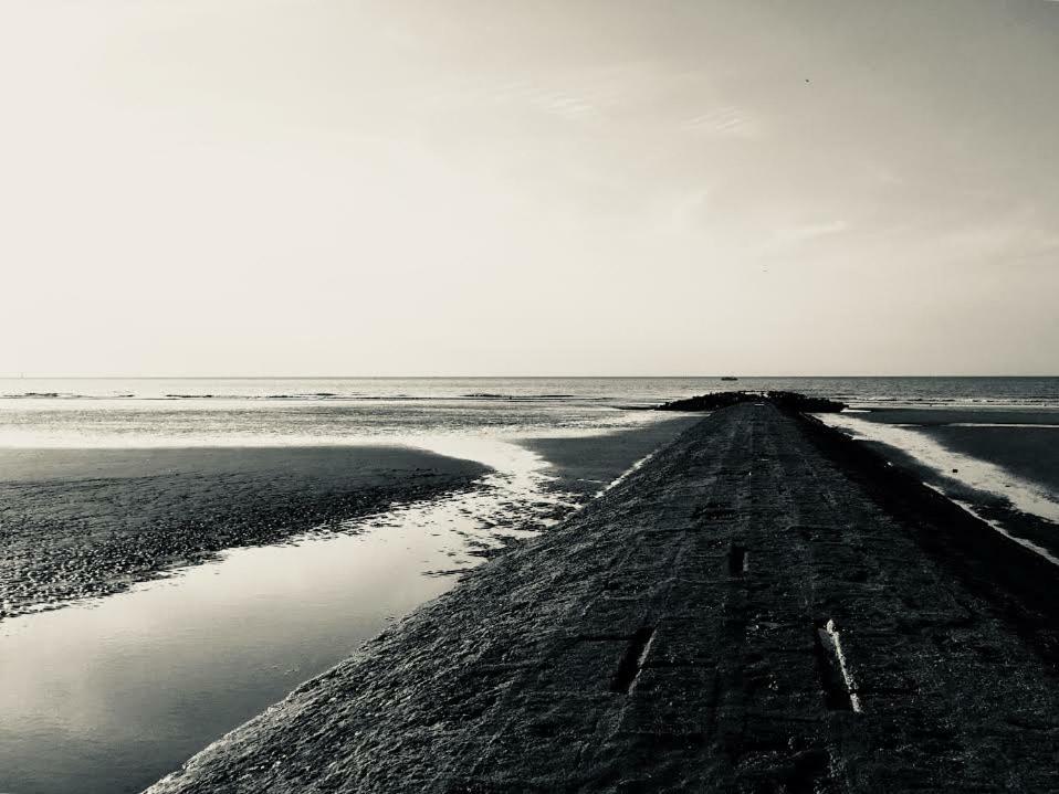Meeuwenbank Διαμέρισμα Nieuwpoort Εξωτερικό φωτογραφία
